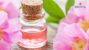 Wildrose Massage Wellness Dresden