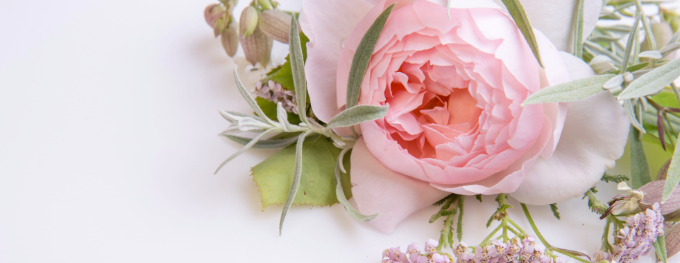 Gutschein Wellness Yoga Ayurveda Dresden Geschenk